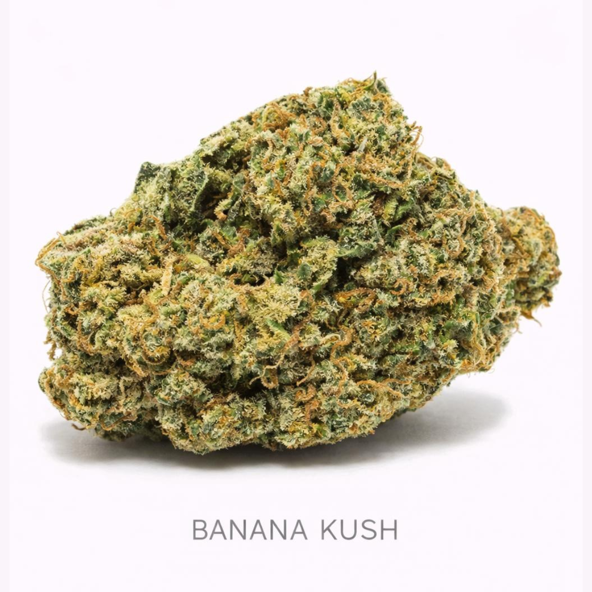 Banana Kush CBD – Flores Glass House Premium