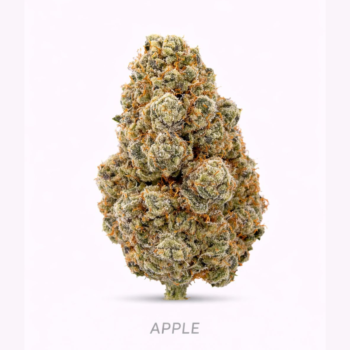 APPLE CBD – Flores Glass House Premium