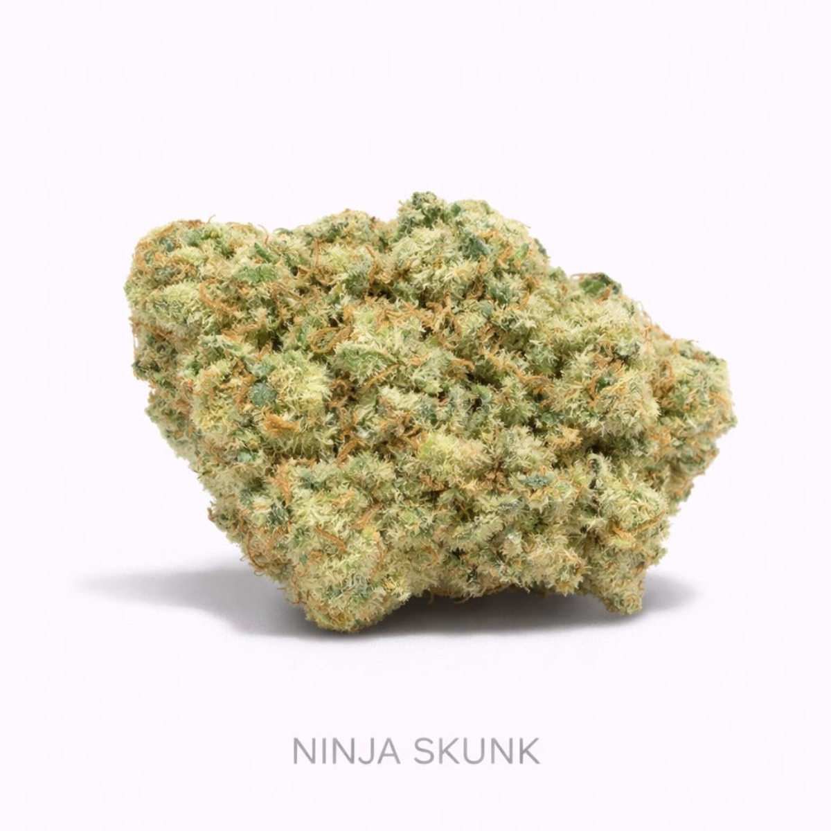 Flores NINJA SKUNK HPC