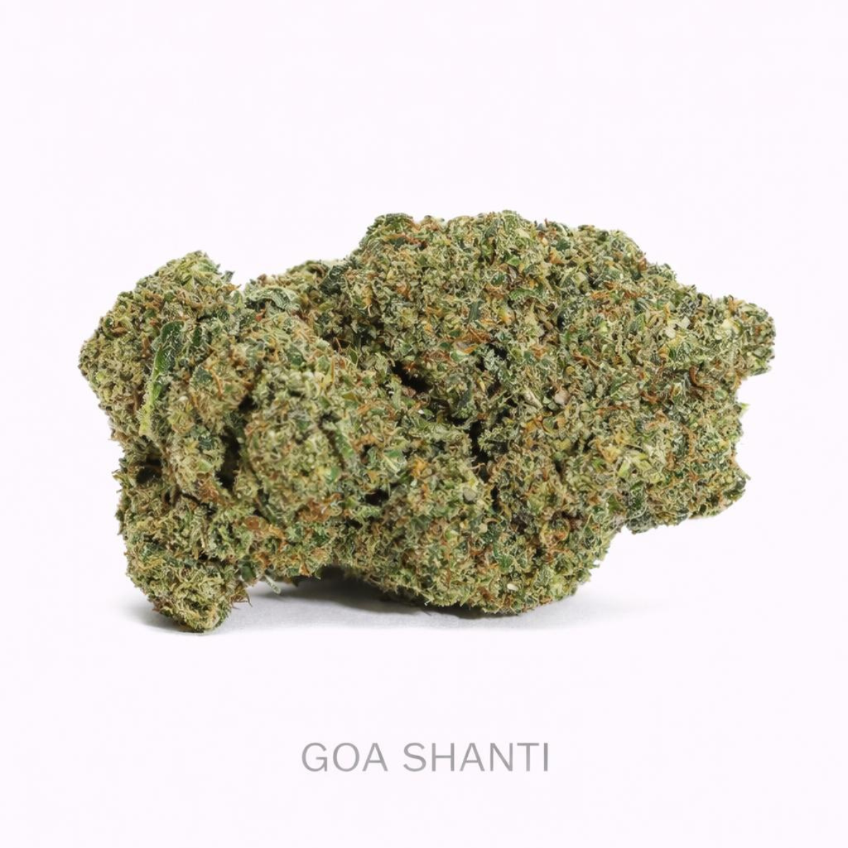 Flores GOA SHANTI HPC