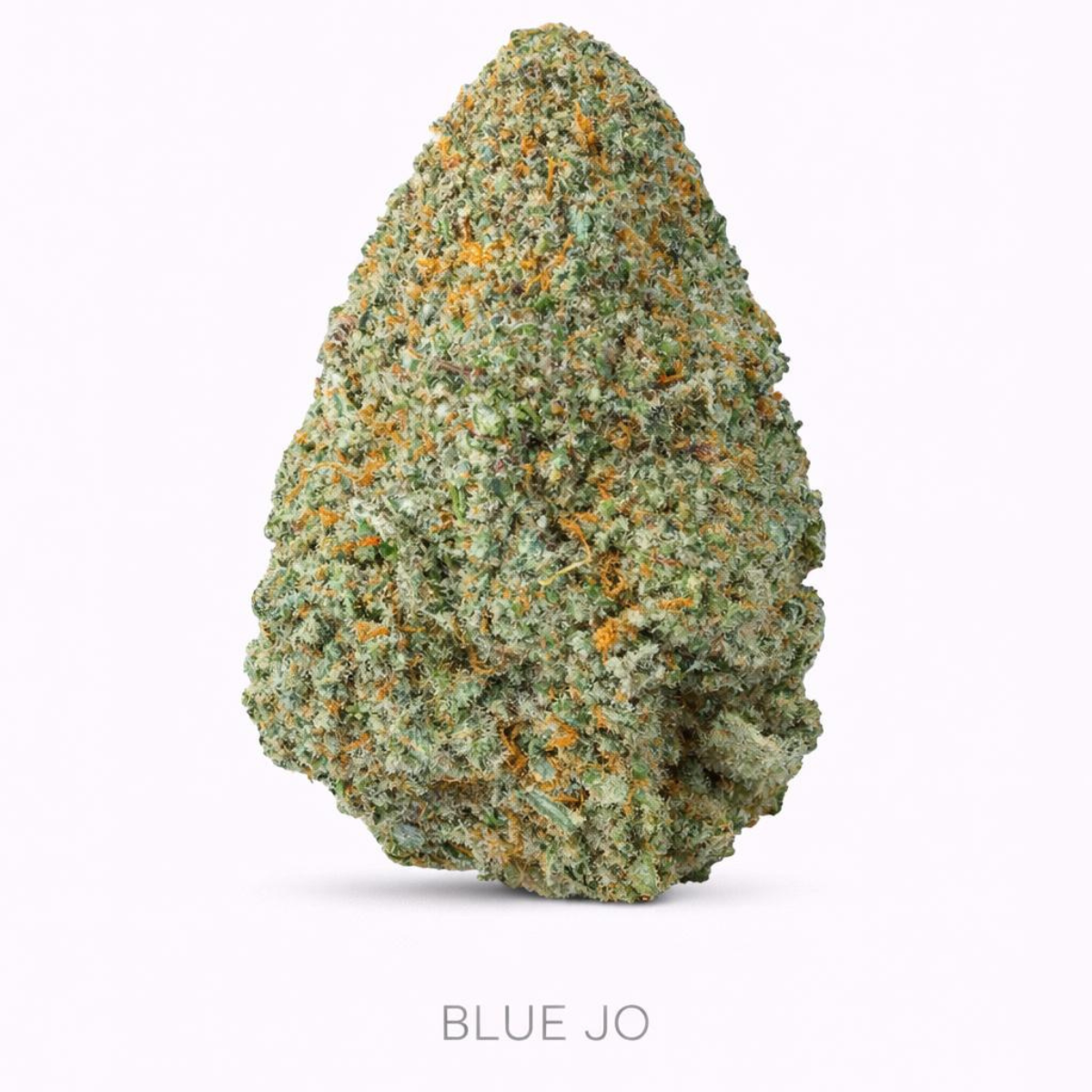 Flores BLUE JO HPC