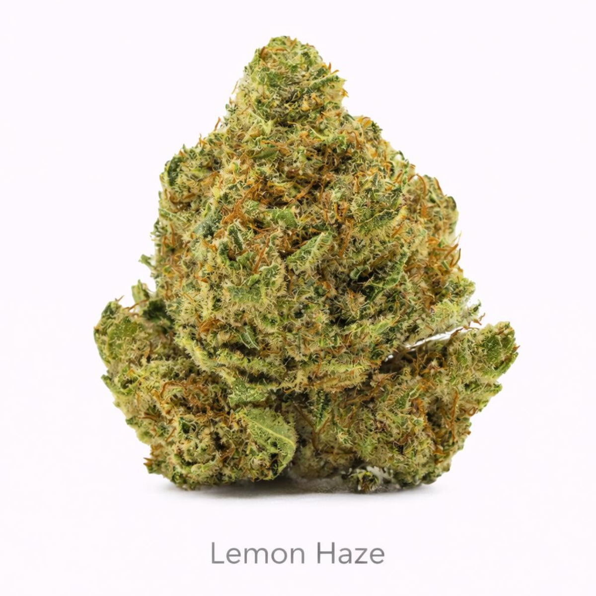LEMON CBD – Flores Glass House Premium