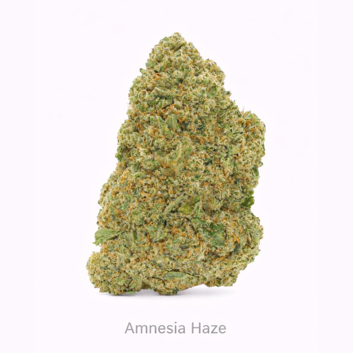 Amnesia CBD – Flores Glass House Premium