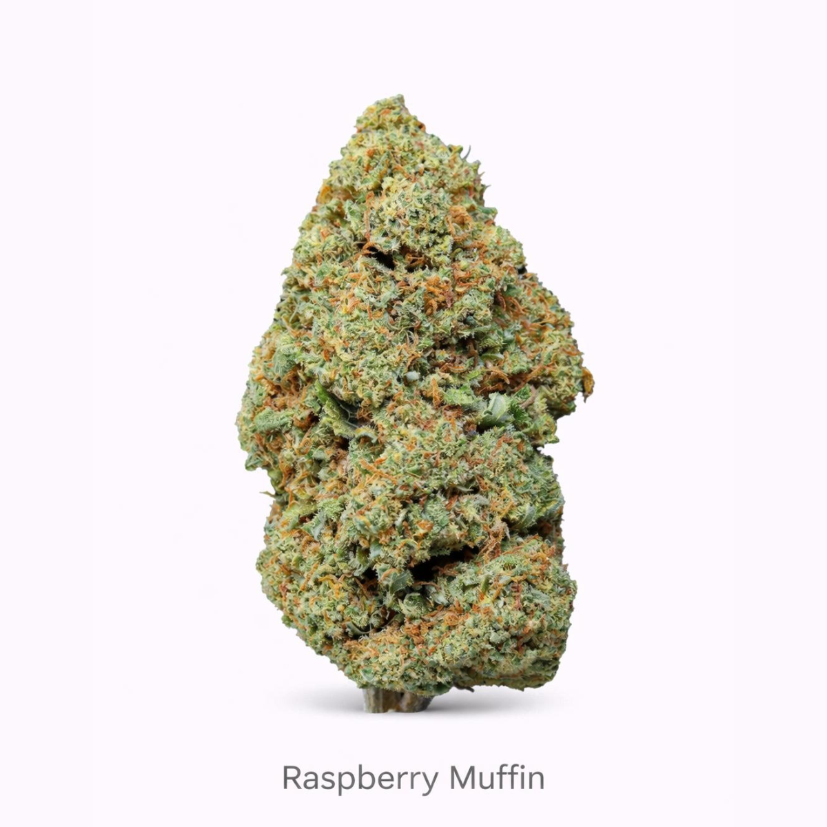 Raspberry CBD – Flores Glass House Premium