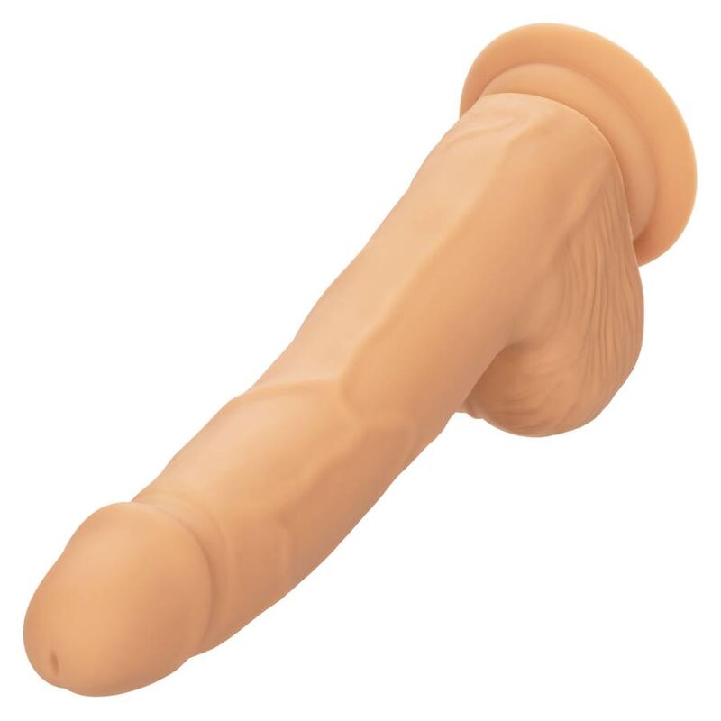 CALEXOTICS - BORCHIE IN SILICONE 20,32 CM SKIN