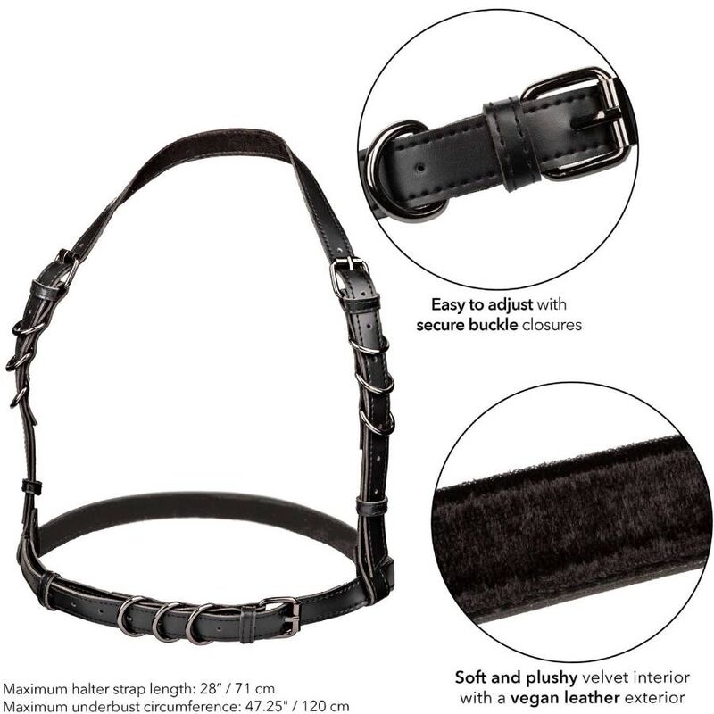 CALEXOTICS - EUPHORIA IMBRACATURA CON FIBBIA E HALTER TAGLIE FORTI NERA