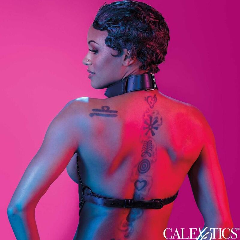 CALEXOTICS - EUPHORIA MULTI CATENA COLLARE IMBRACATURA