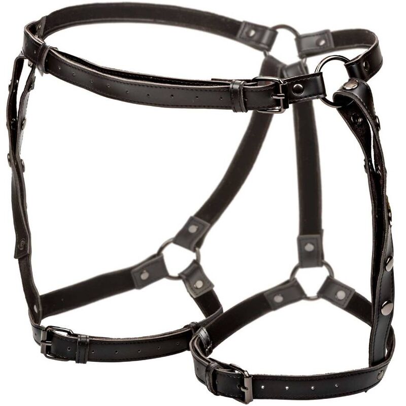 CALEXOTICS - ARNÉS DE MUSLO PARA MONTAR EUPHORIA DE TALLA GRANDE
