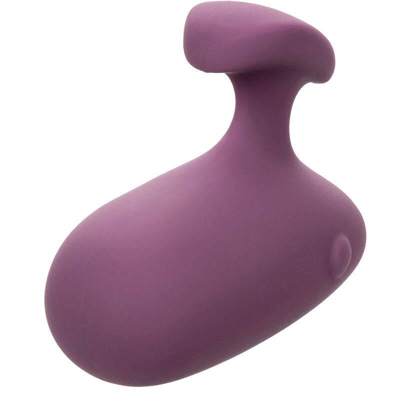 CALEXOTICS - MOD TOUCH STIMULATOR VIOLA