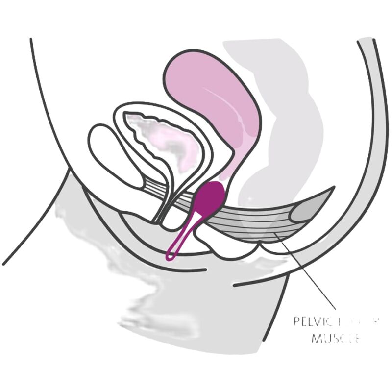 FUN FACTORY - SMARTBALL UNO PELOTA PÉLVICA BLANCA / LILA PASTEL