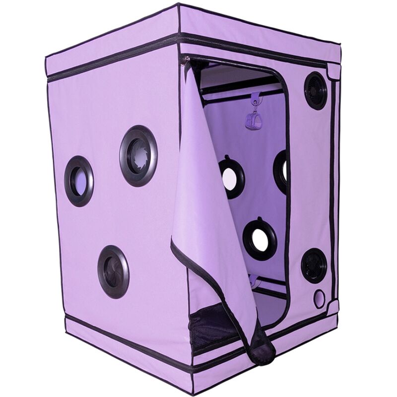 SECRET DOME - KINK CLUB CABINA SCANDALE MORADO