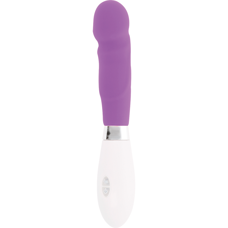 GLOSSY - PAUL VIBRATORE VIOLA