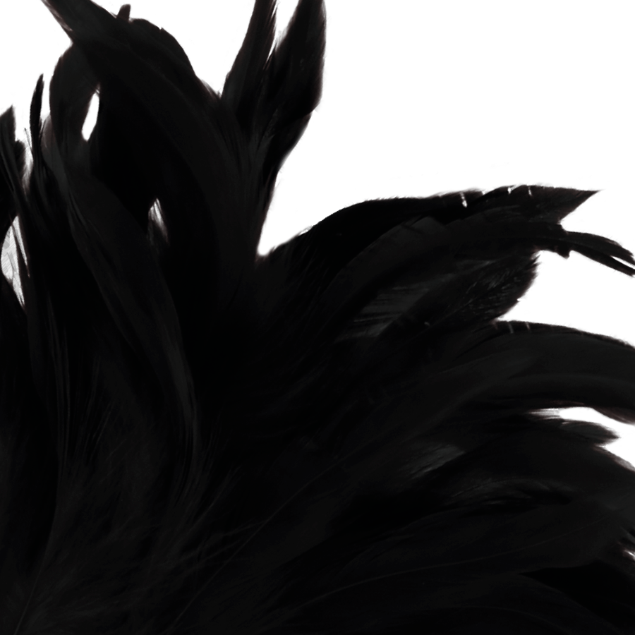 DARKNESS - PENNA STIMOLANTE BLACK LUX